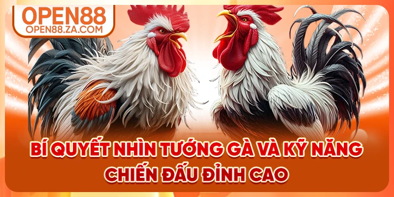 Bí quyết nhìn tướng gà và kỹ năng chiến đấu đỉnh cao Bí quyết nhìn tướng gà và kỹ năng chiến đấu đỉnh cao