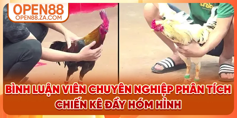 Bình luận viên chuyên nghiệp phân tích chiến kê đầy hóm hỉnh Bình luận viên chuyên nghiệp phân tích chiến kê đầy hóm hỉnh
