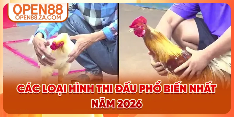 Các loại hình thi đấu phổ biến nhất năm 2026 Các loại hình thi đấu phổ biến nhất năm 2026