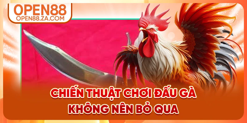 Chiến thuật chơi đấu gà không nên bỏ qua Chiến thuật chơi đấu gà không nên bỏ qua