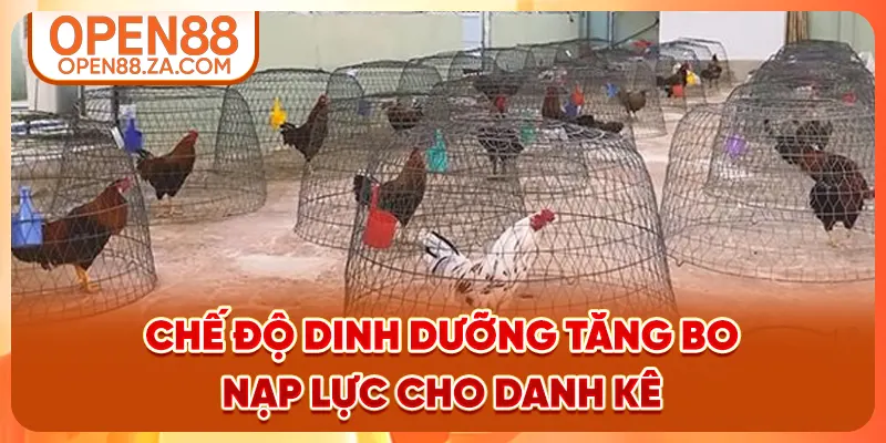 Chế độ dinh dưỡng tăng bo nạp lực cho danh kê