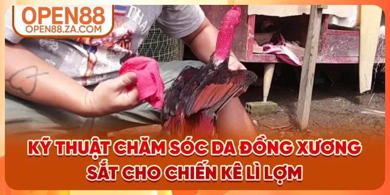 Kỹ thuật chăm sóc da đồng xương sắt cho chiến kê lì lợm
