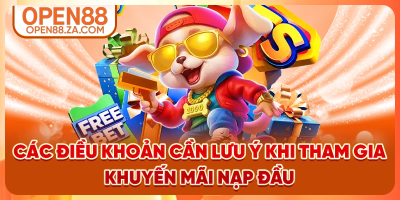 Các điều khoản cần lưu ý khi tham gia khuyến mãi nạp đầu